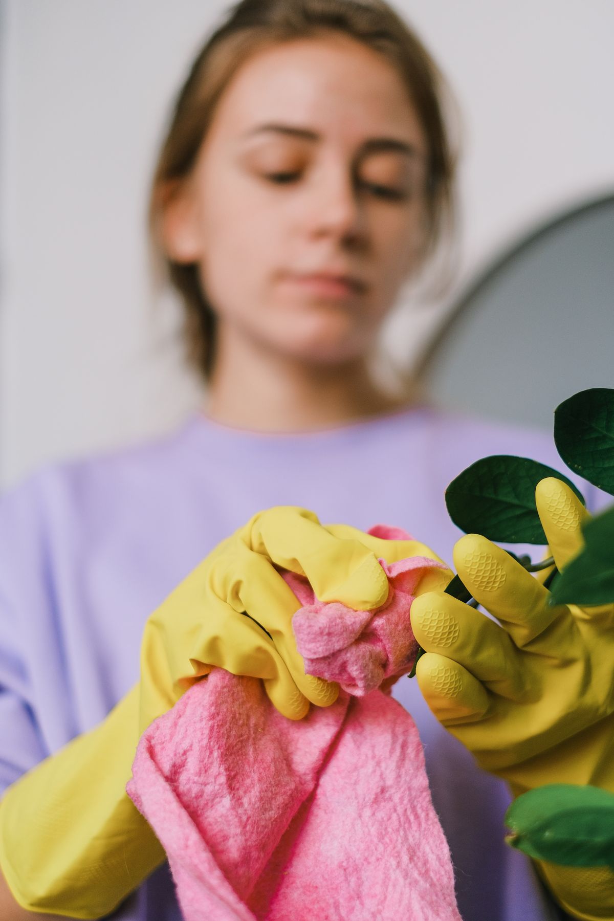 Focused woman in gloves cleaning indoors with a pink towel